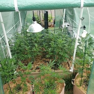 Meet your Posher, Luis